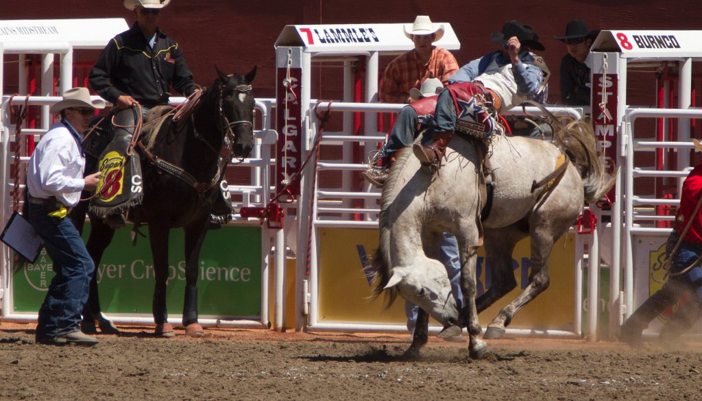 Calgary Stampede-1514.jpg